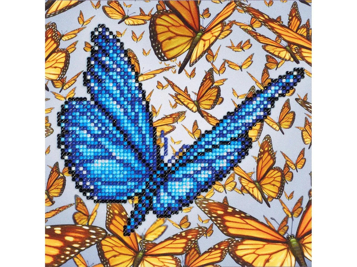 Diamond Art Kit 8x8" Beginner Blue Butterfly