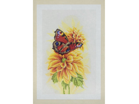 Lanarte Fluttering Peacock Butterfly Cross Stitch kit, 8.8" x 13.2"  | Do it yourself floral Counted Cross Stitch pattern