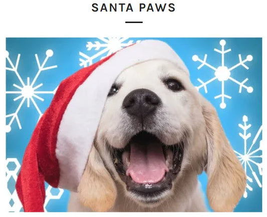 Micro Puzzles - Holidays - Santa Paws Dog, small 4x6" jigsaw puzzle, 150 pieces