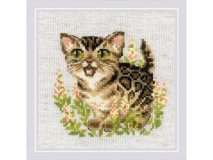 Riolis Cross Stitch Kit 6" x 6", 14ct, Bengal Kitten