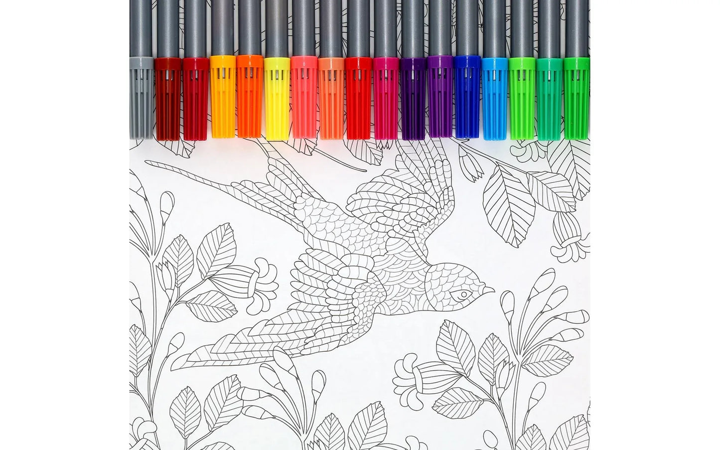 Set of colored pencils with a coloring book featuring birds and foliage on a white background