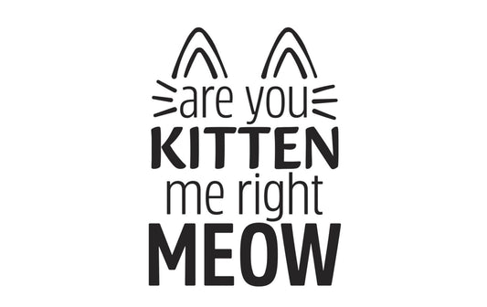 Darice Embossing Folder, "Are You Kitten Me Right Now" 30094096